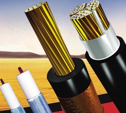 BIMETAL2